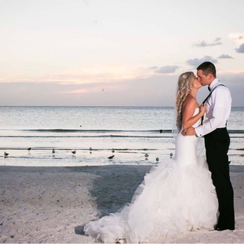 Pronovias Mildred Wedding Gown Size 4 and veil! - Picture 5 of 5